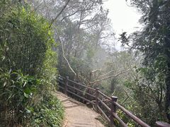 -海南铜鼓岭景区