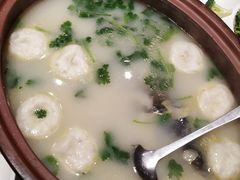 鱼头煲-天福苑(崇宁路店)