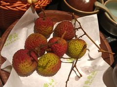 -季季山·云南野生菌火锅(上海首店)