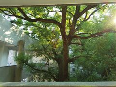 -湖北美术学院(昙华林校区)