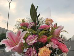 -眉州东坡(清河万象汇店)