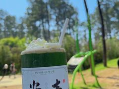 -安吉竹博园