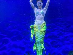 -海合安武汉极地海洋公园