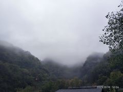 -牛背梁国家森林公园