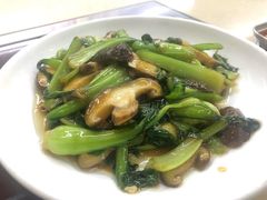 -朴氏韩国料理(北欧丽景店)