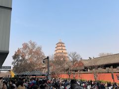 -大慈恩寺(大雁塔)
