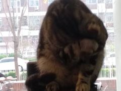 -平行世界·猫咖(首经贸店)