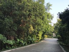 -福建鲤鱼洲酒店