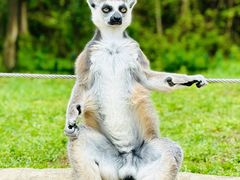 -杭州野生动物世界