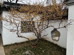-无锡梅园公园