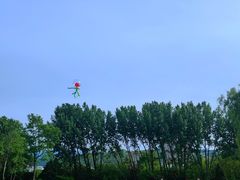 -宝鸡植物园