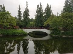 -东平国家森林公园