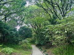 -宋庆龄陵园