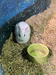 -酷嗒动物文化乐园(cutezoo西溪乐天城店)