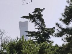-团结湖公园