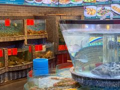 水产区-德胜轩正宗顺德菜(宝安沙井会展中心店)