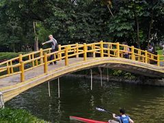 -晓港公园