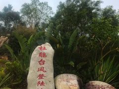 -广东惠东海龟国家级自然保护区