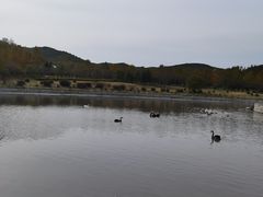 -哈尔滨北方森林动物园