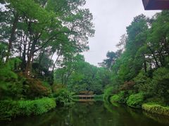 -南山植物园