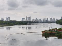 -南宁南湖公园