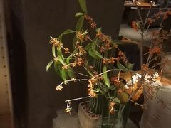-陶享时光西餐·下午茶·竹林花园(新城店)