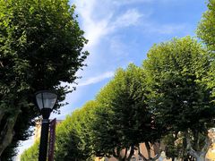 -浙江大学(玉泉校区)