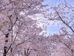 -龙美术馆(西岸馆)