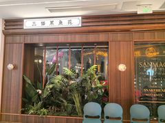 -三猫黑鱼花(南大店)