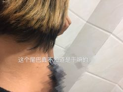 短发-侨治发型