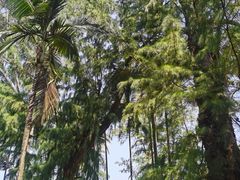 -北海市海滨公园