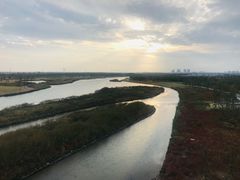 -春花秋色城市公园