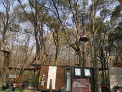 -WeLope紫金山探险公园