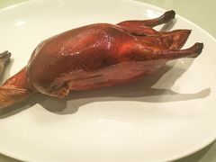 -利苑酒家(金宝店)