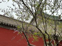-窦大夫祠