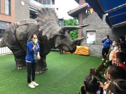 -恐龙探索乐园(磁器口店)