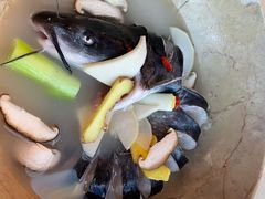 蒸汽石锅鱼-云海肴云南菜·蒸汽石锅鱼(龙湖上城店)