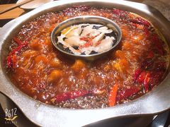 鸳鸯锅-锅首鲜品火锅(鸳鸯店)
