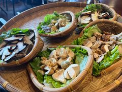 -滇野云南野生菌餐厅(陕西南路店)