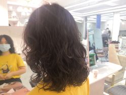 -潘多拉Hairsalon