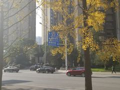 -仁恒滨河湾