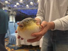 -味雅大酒店
