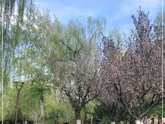 -元大都城垣遗址公园