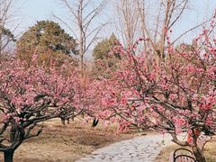 -香山公园