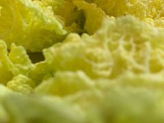 -潭州老友灶台鸡·竹屋老灶(光明E城店)