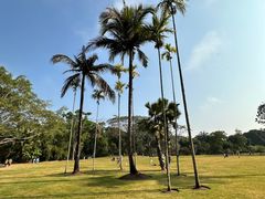 -中国科学院西双版纳热带植物园