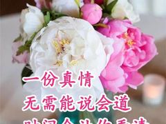 -上海新发展亚太JW万豪酒店