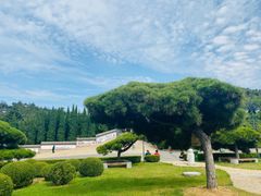 -龙口南山旅游景区