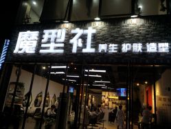 -魔型社