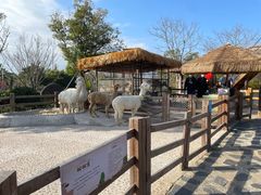 -珠海海泉湾神秘岛亲子乐园